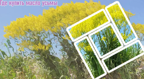 Растение усьма